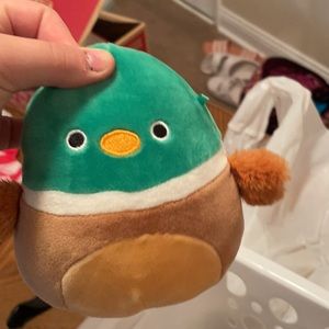 Avery the duck squishmallow